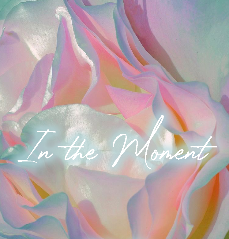 In the Moment